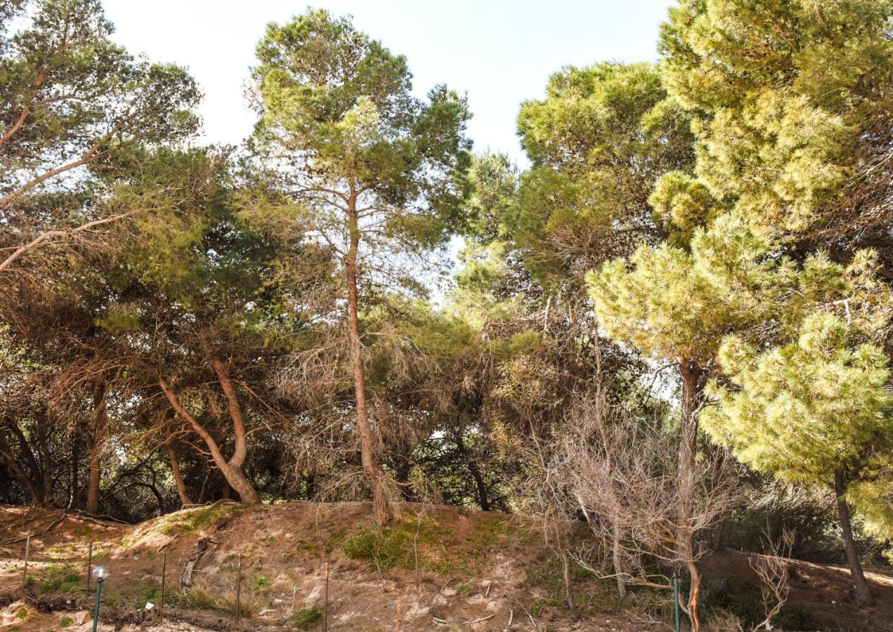 Appartamento Sulla Spiaggia Gallipoli Buitenkant foto